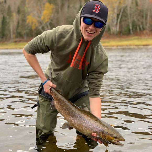 Meet your Posher, Nathan - Picture 1 of 1